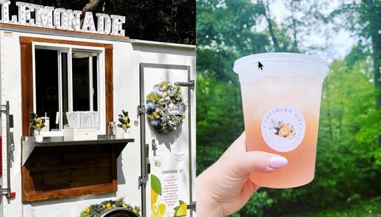 <span style="color:var(--base-color-bg)"><span style="color:var(--tertiary-color-bg)">Fresh Lemonade</span></span>