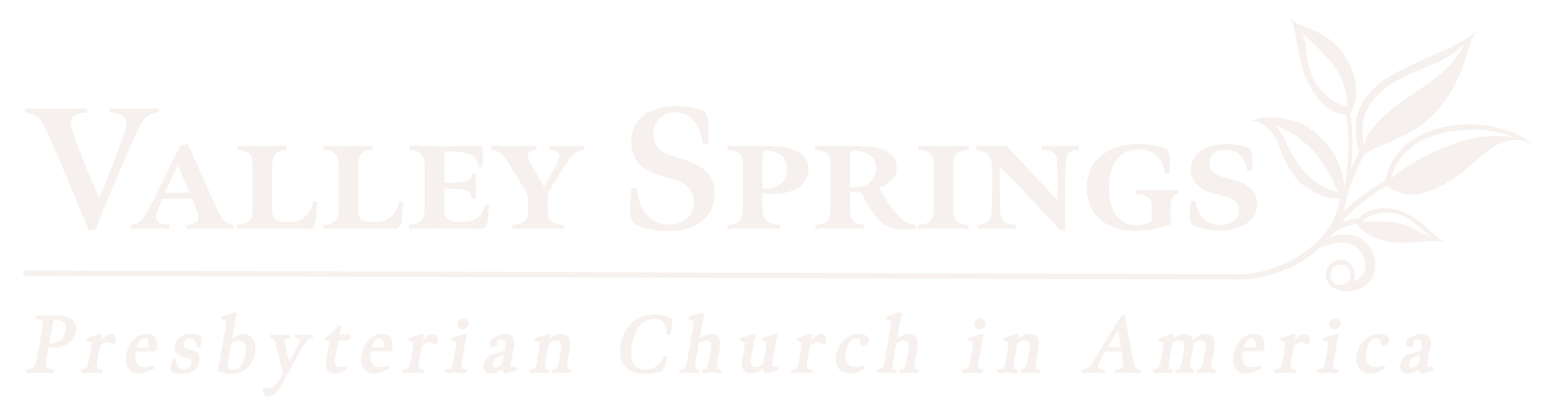 Valley Springs Presbyterian Church 1