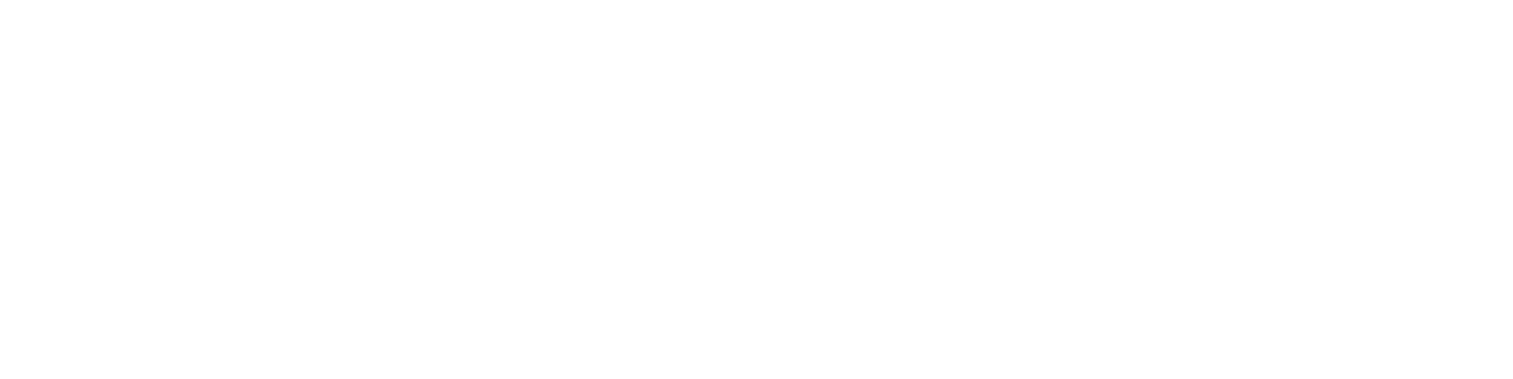 Main Logo