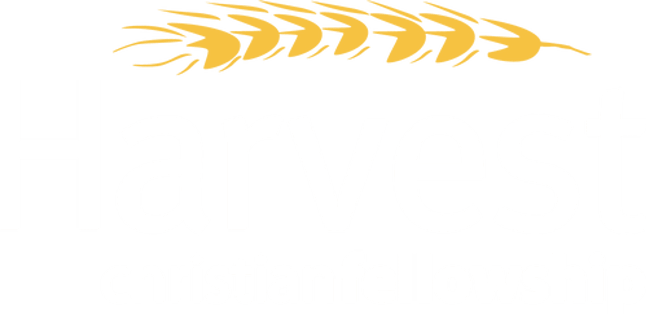 Main Logo