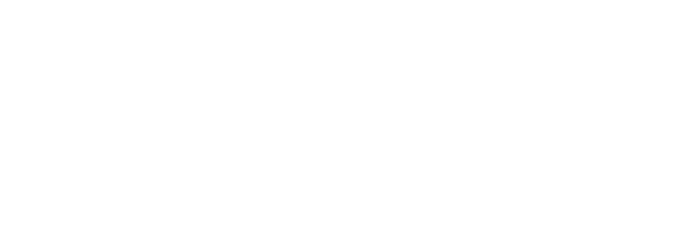 Main Logo