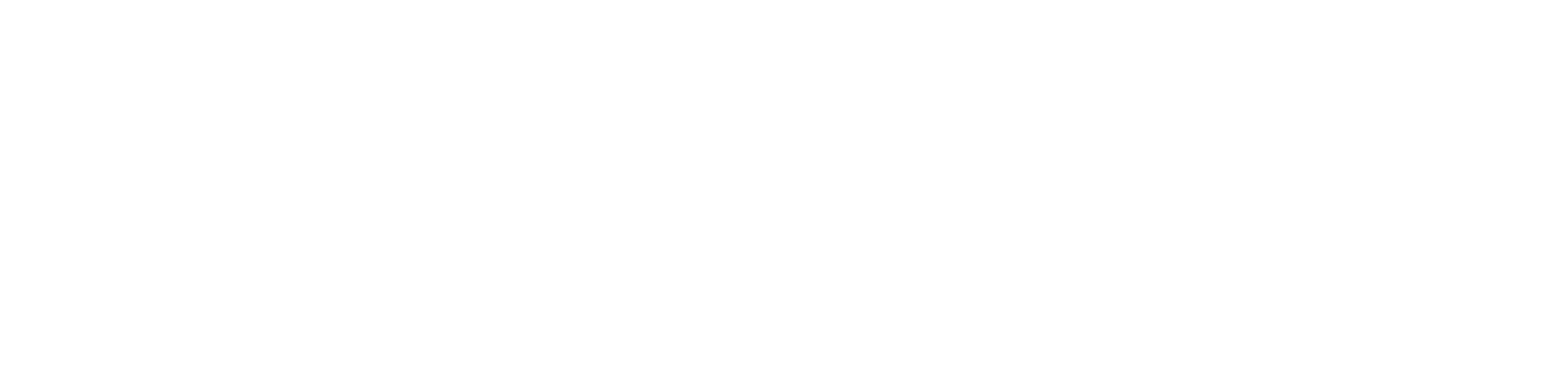 Main Logo