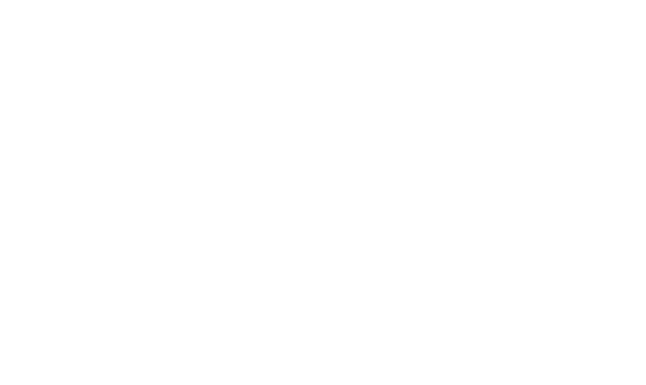 Main Logo