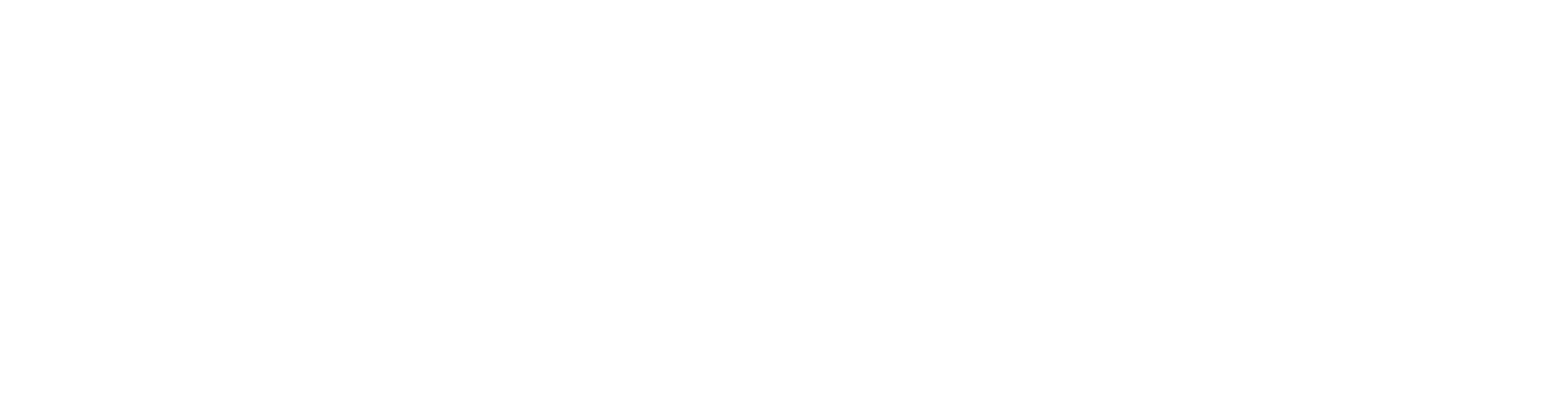 Main Logo