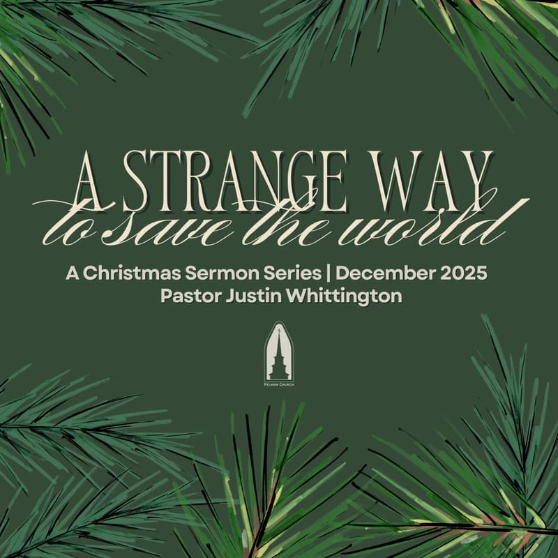 A STRANGE WAY TO SAVE THE WORLD