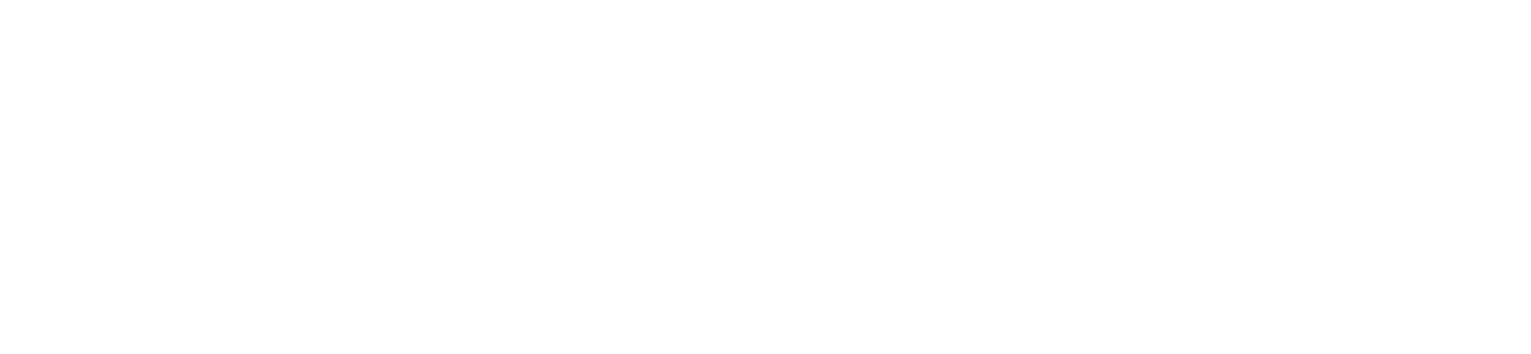 Main Logo