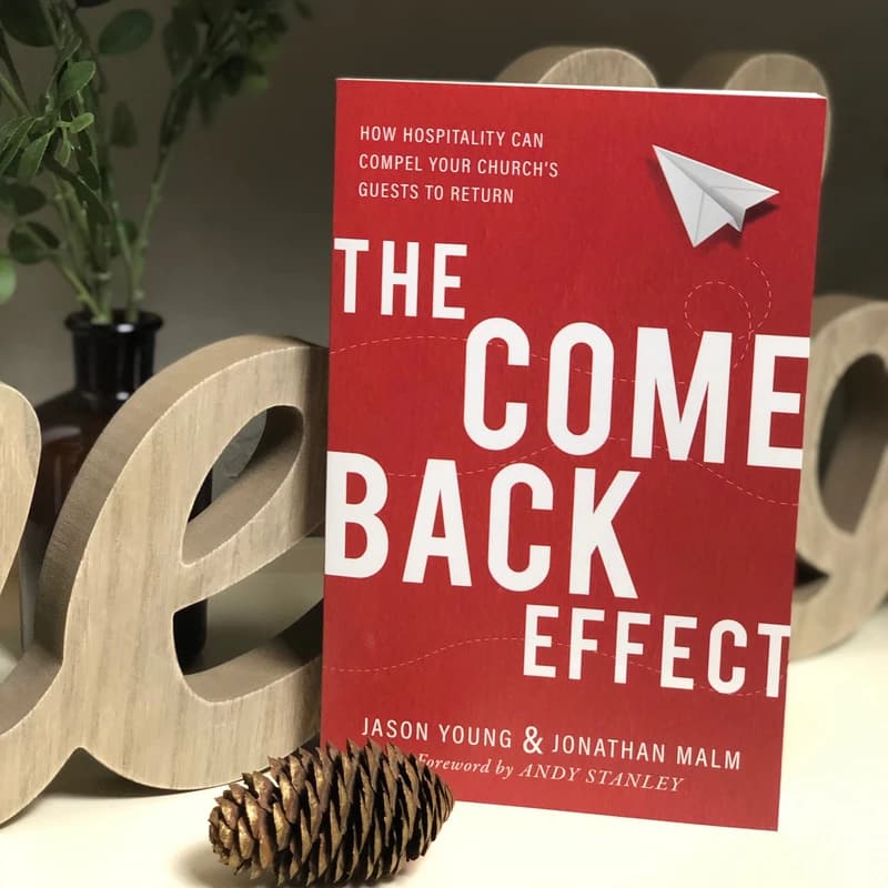 The book 'The Come Back Effect' stands on a shelf with a wooden decoration, a small plant, and a pinecone.