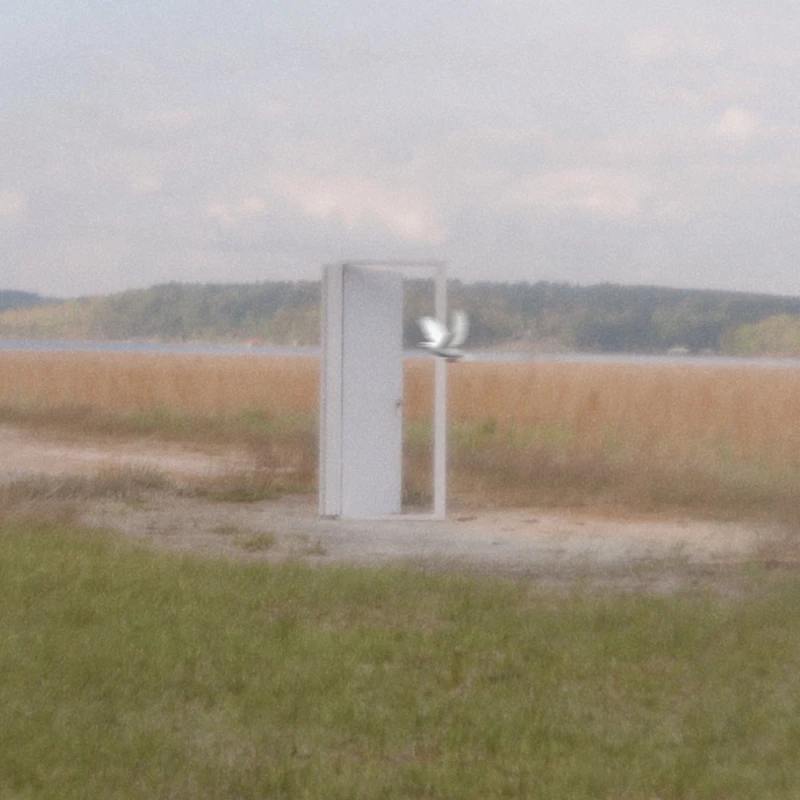 A grainy, dreamlike photo of a white door standing alone in a field. A white bird is captured in mid-flight, emerging from the open doorway.
