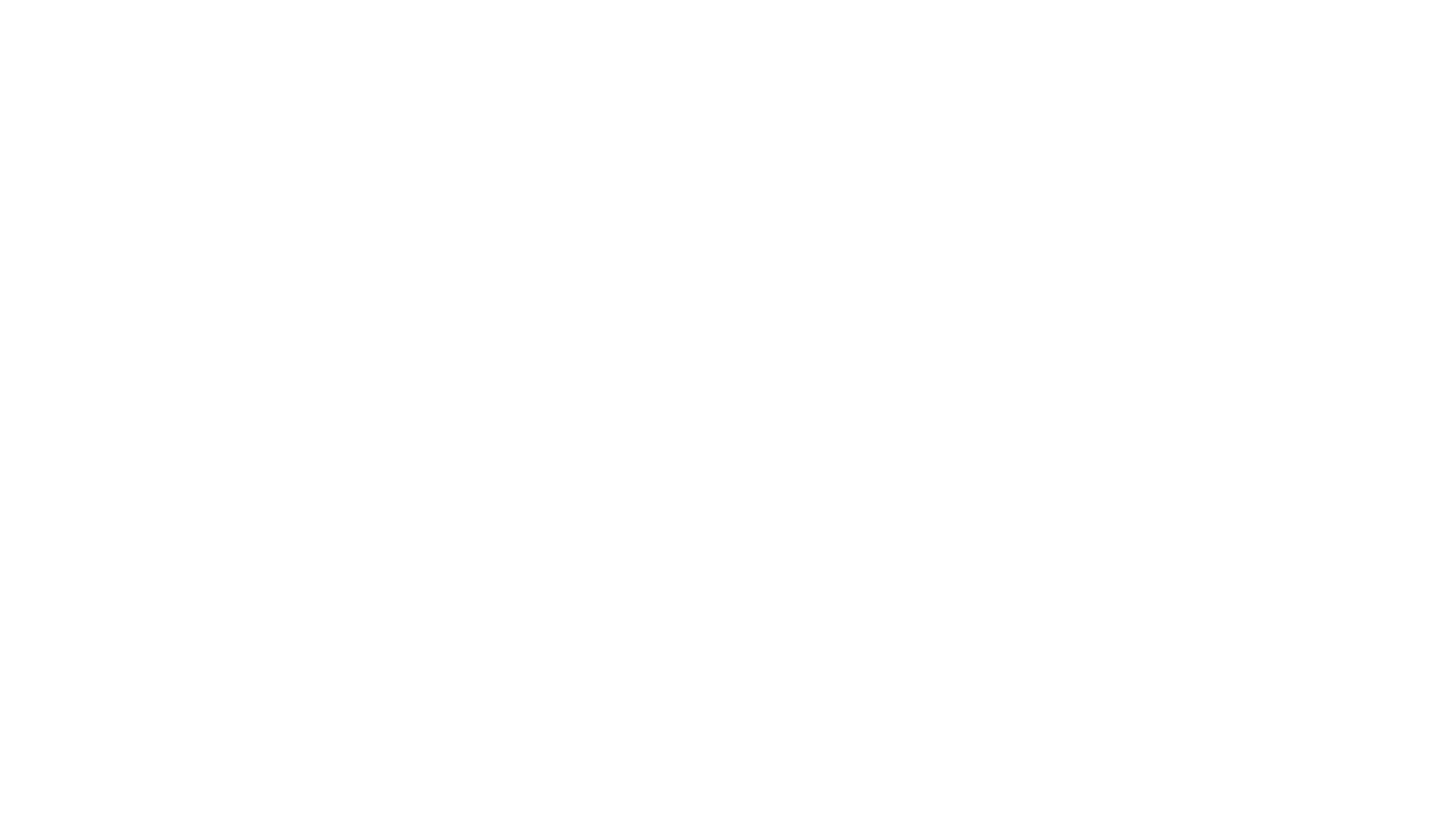 Main Logo