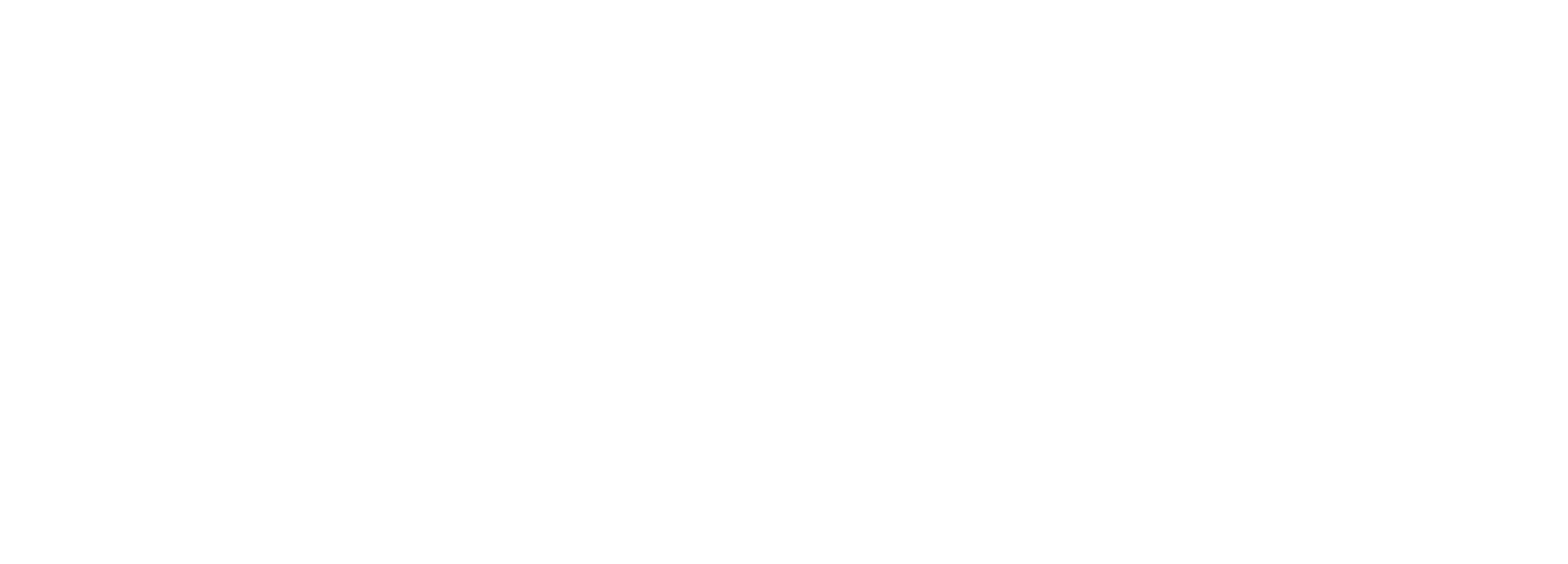 Main Logo