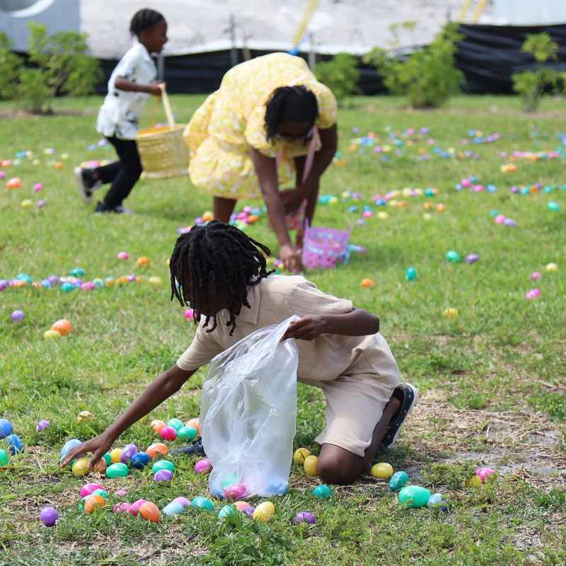 Your kids will love it