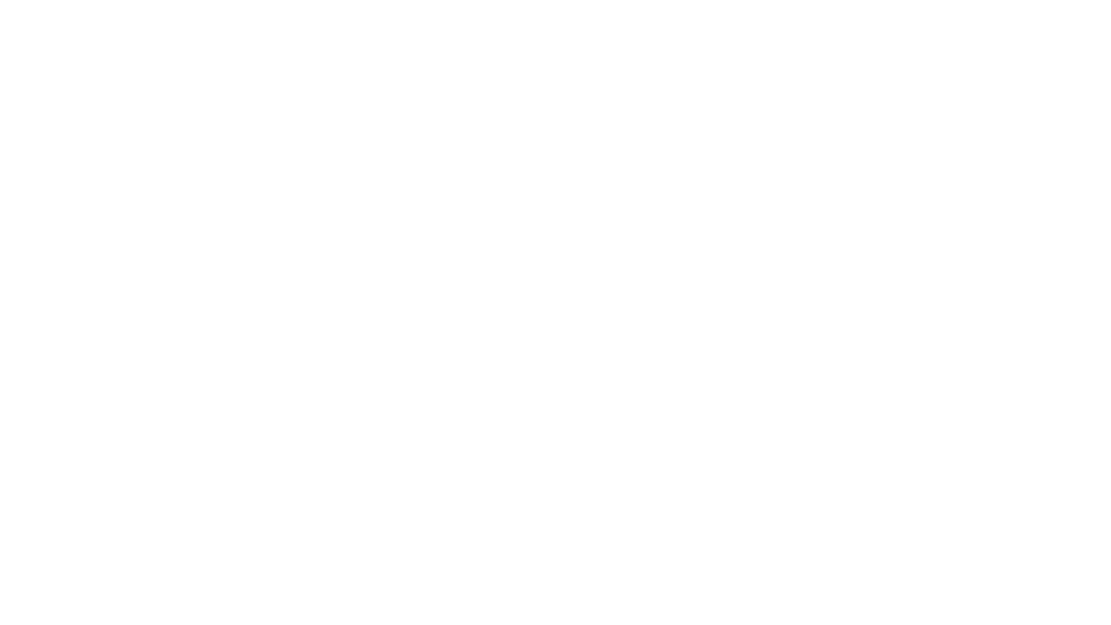 Main Logo