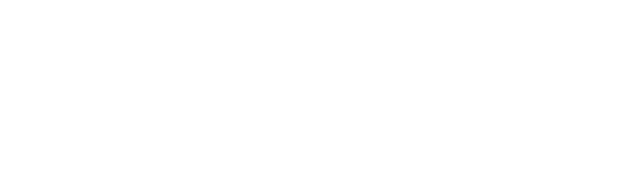 Main Logo