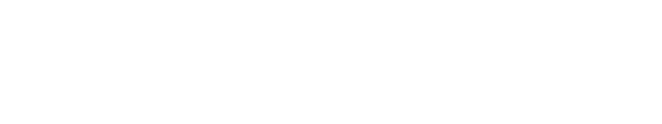Main Logo