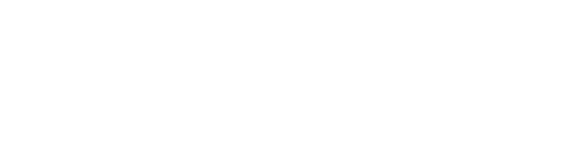 Main Logo