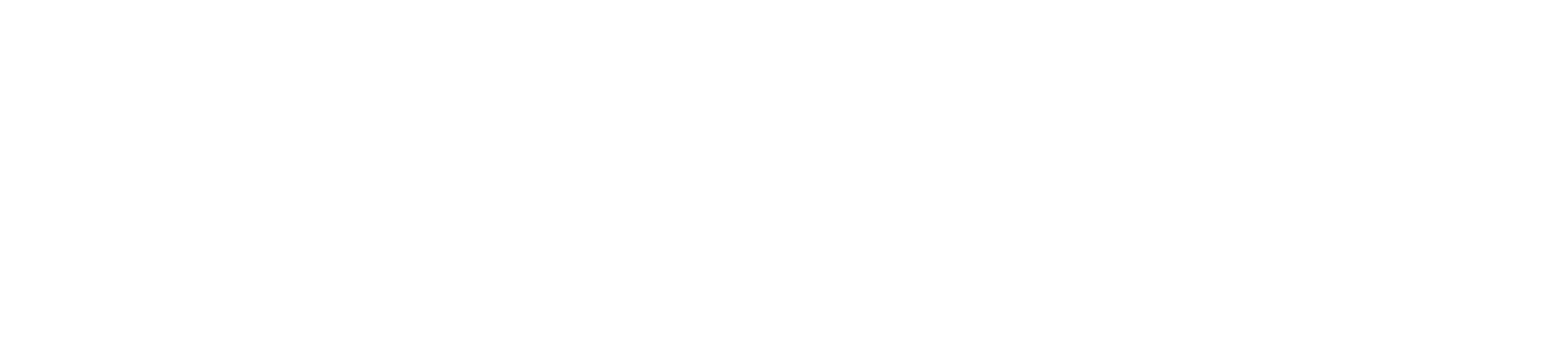 Main Logo