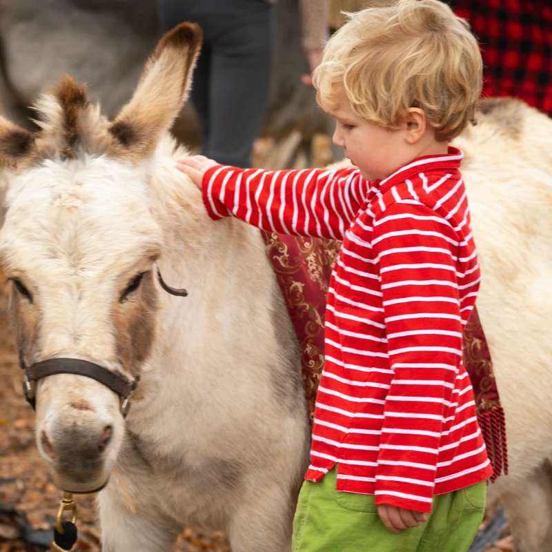 <span style="color:var(--secondary-color-bg)">About Harpeth Hills</span>