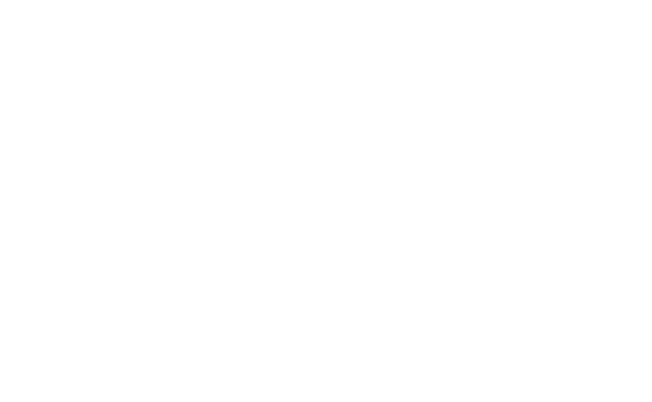 Main Logo