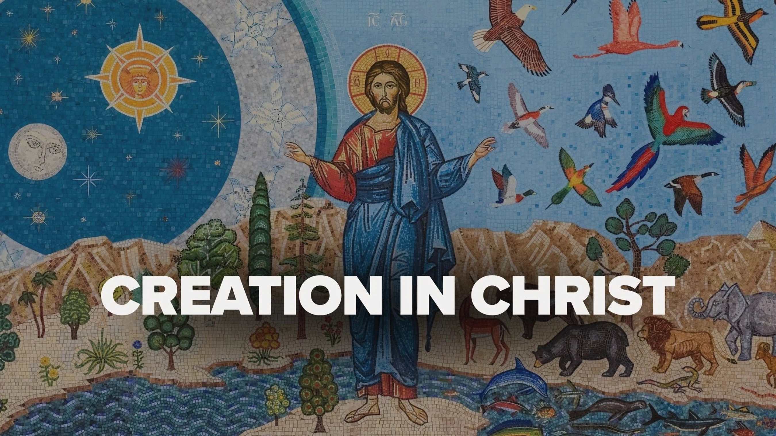 This Sunday in Worship