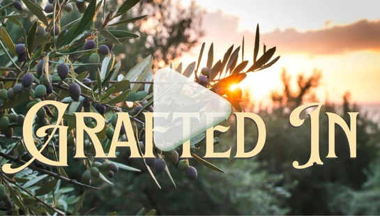 Grafted In Series Ancient Paths sermon play button