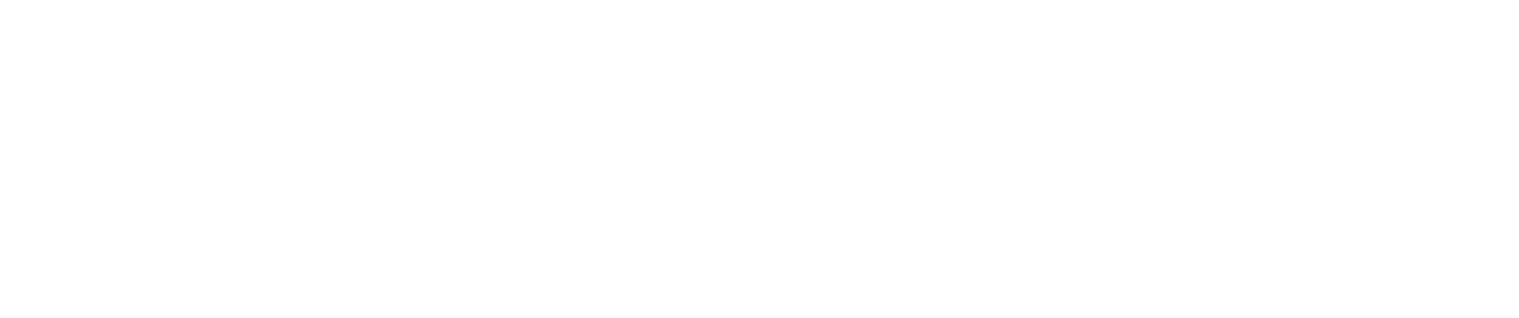 Main Logo