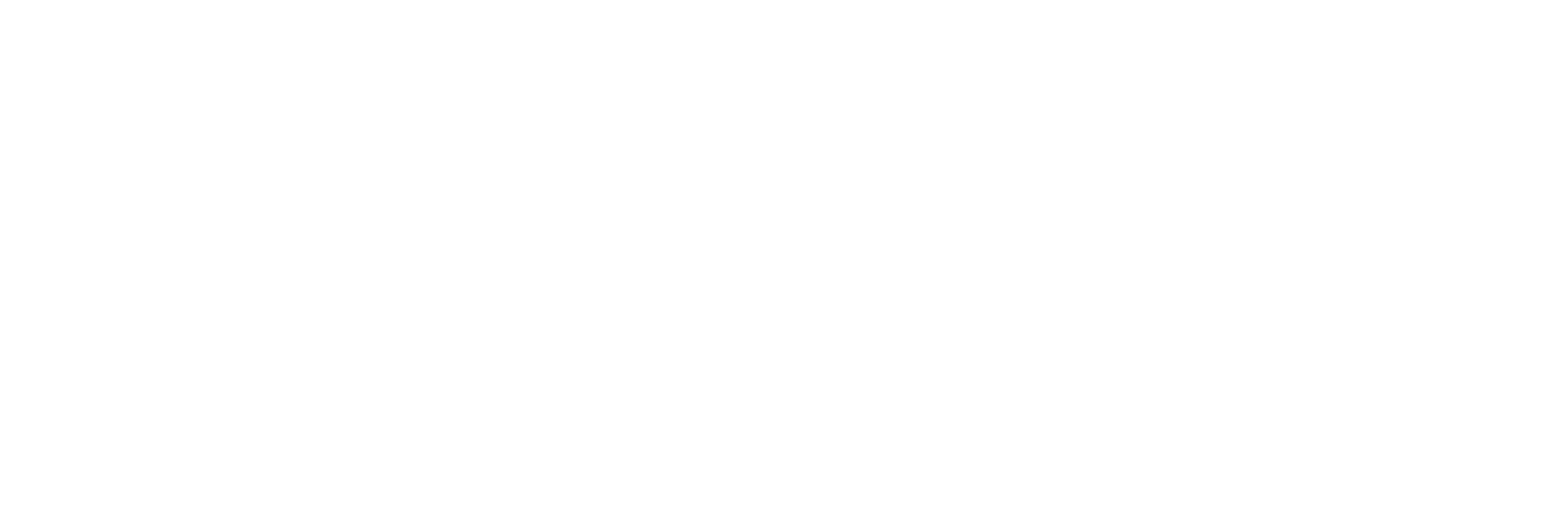 Main Logo