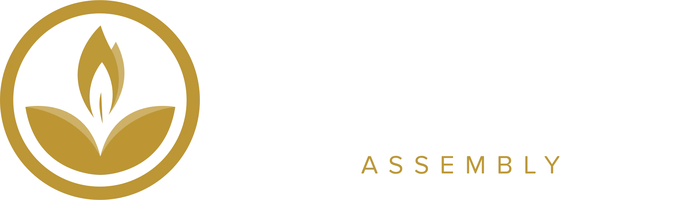 Main Logo