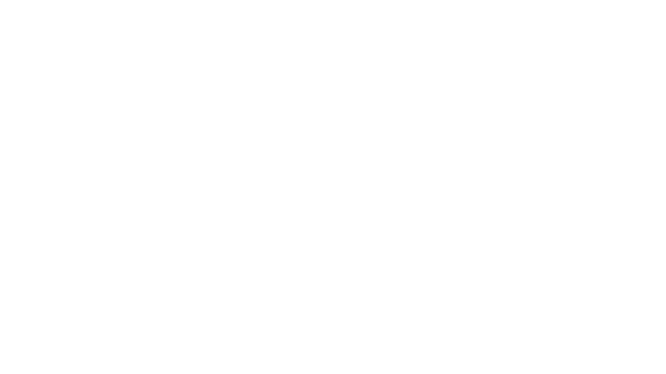 Main Logo