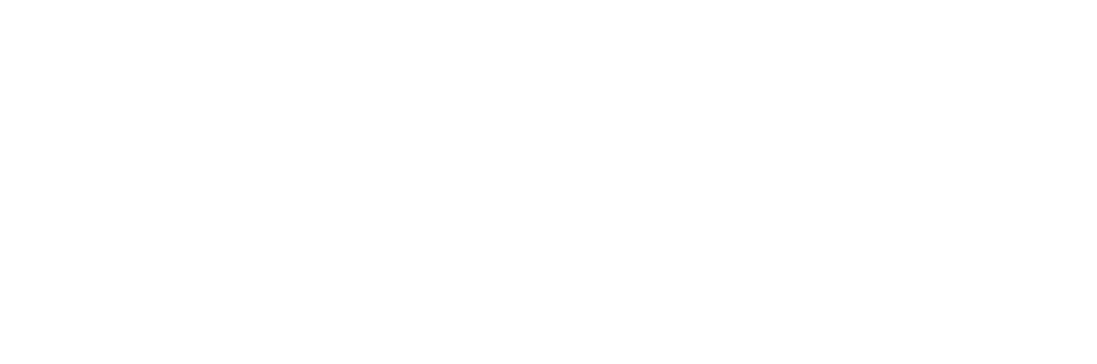 Main Logo