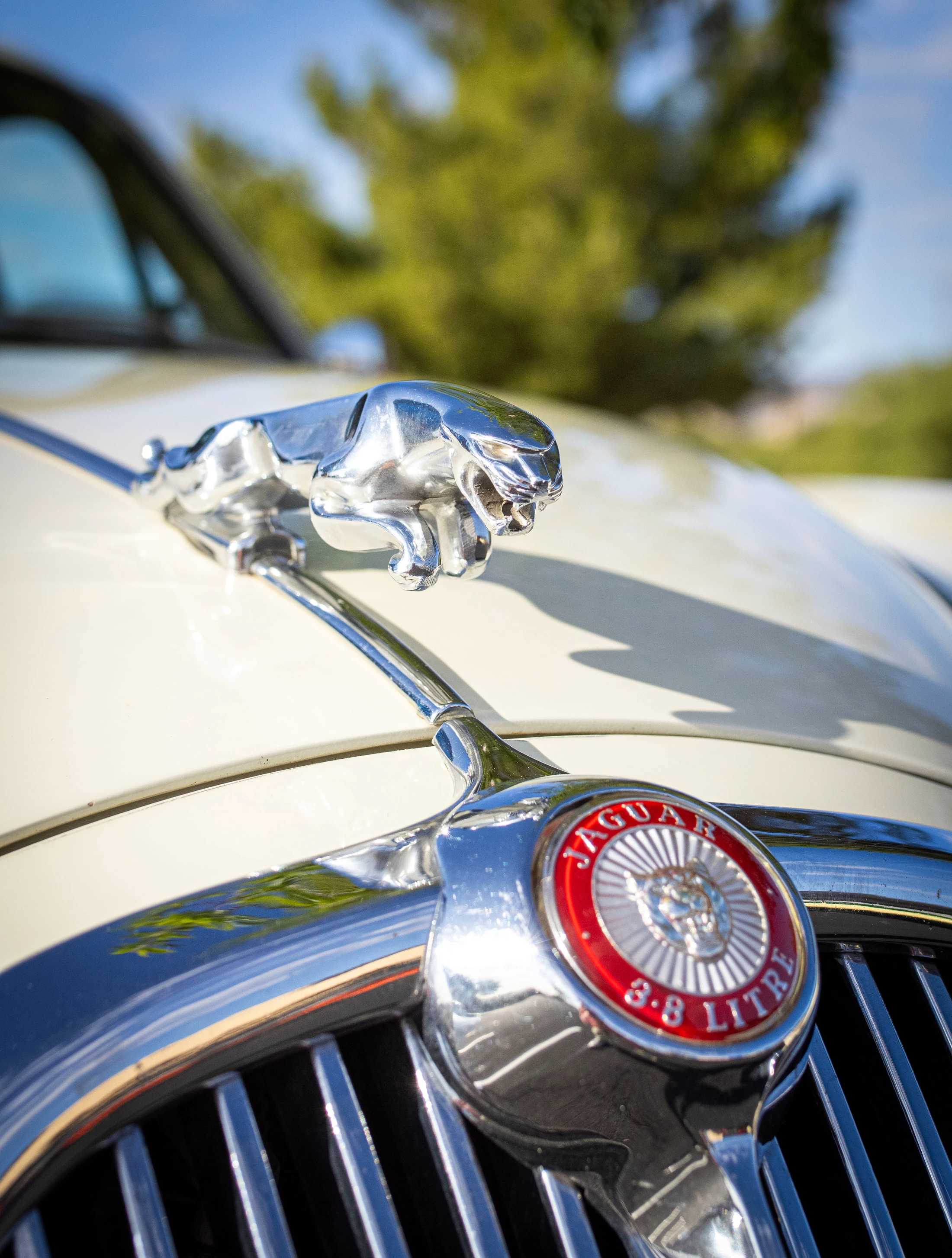 Close-up of the chrome leaping jaguar hood ornament on a vintage cream-colored car, with the red 3.8 Litre emblem on the grille below.