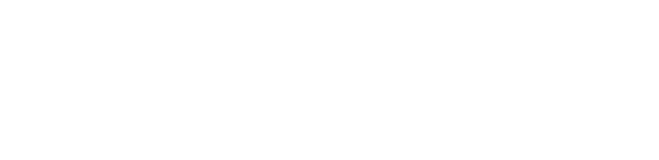Main Logo