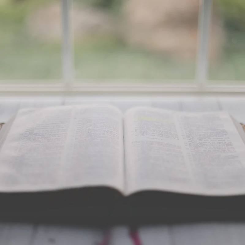 Our <span style="color:var(--primary-color-bg)">Beliefs</span>