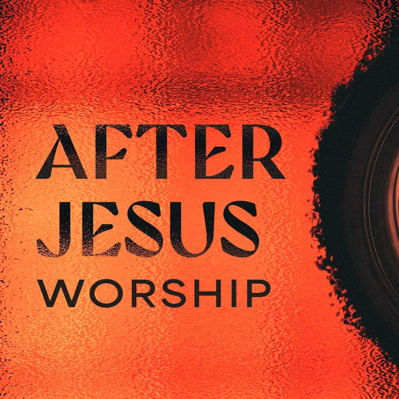 <span style="color:var(--primary-color-bg)">Current Series</span>