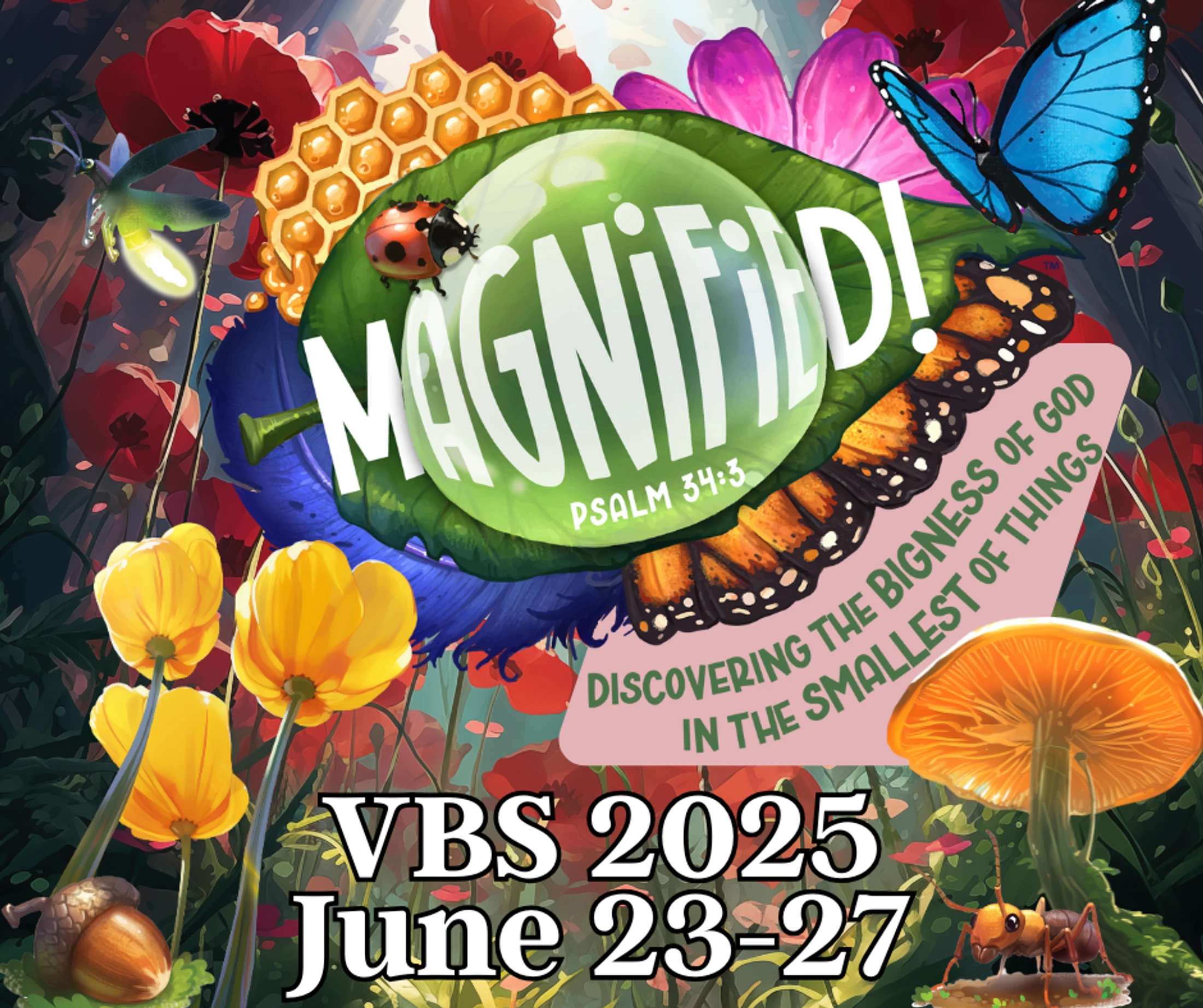 Vacation Bible School