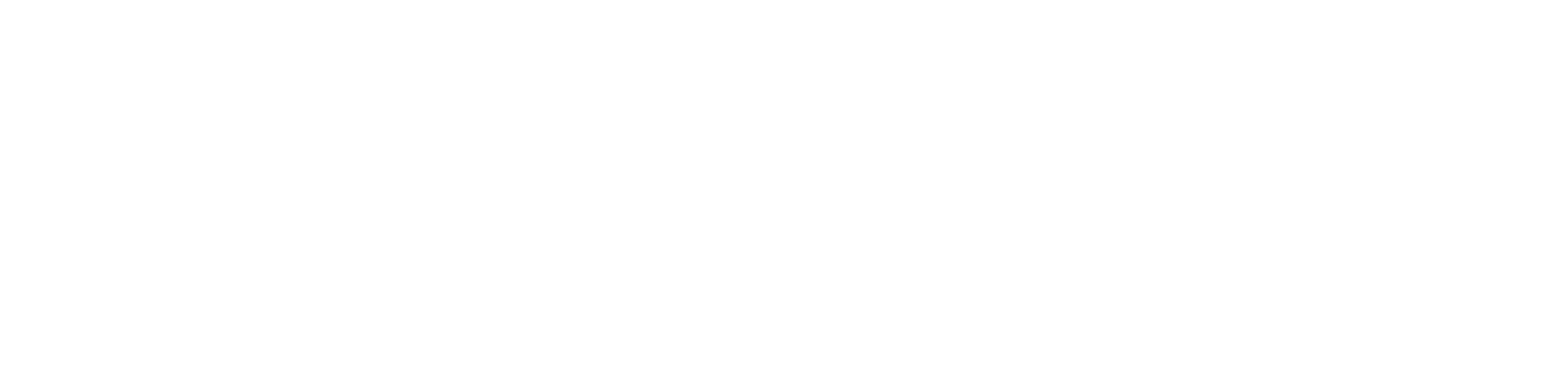 Main Logo