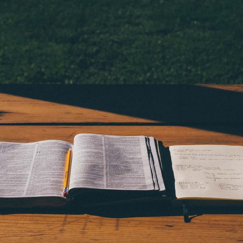 What to <span style="color: var(--primary-color-bg);">Expect</span>