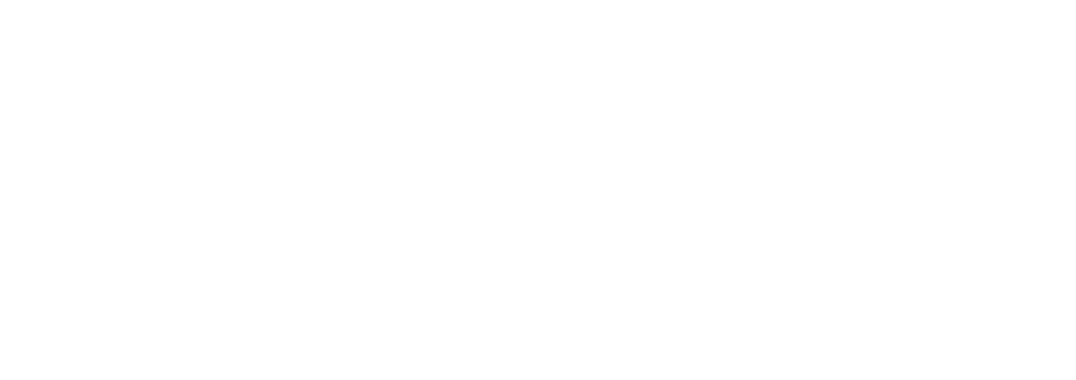 Main Logo