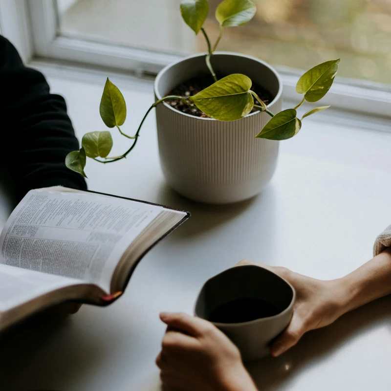 HOME GROUPS