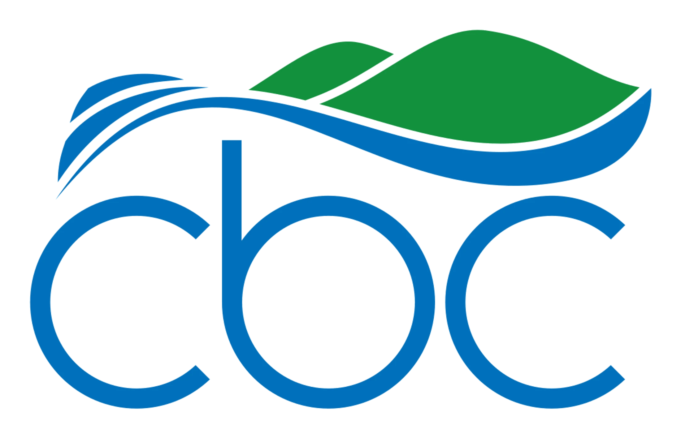 Main Logo