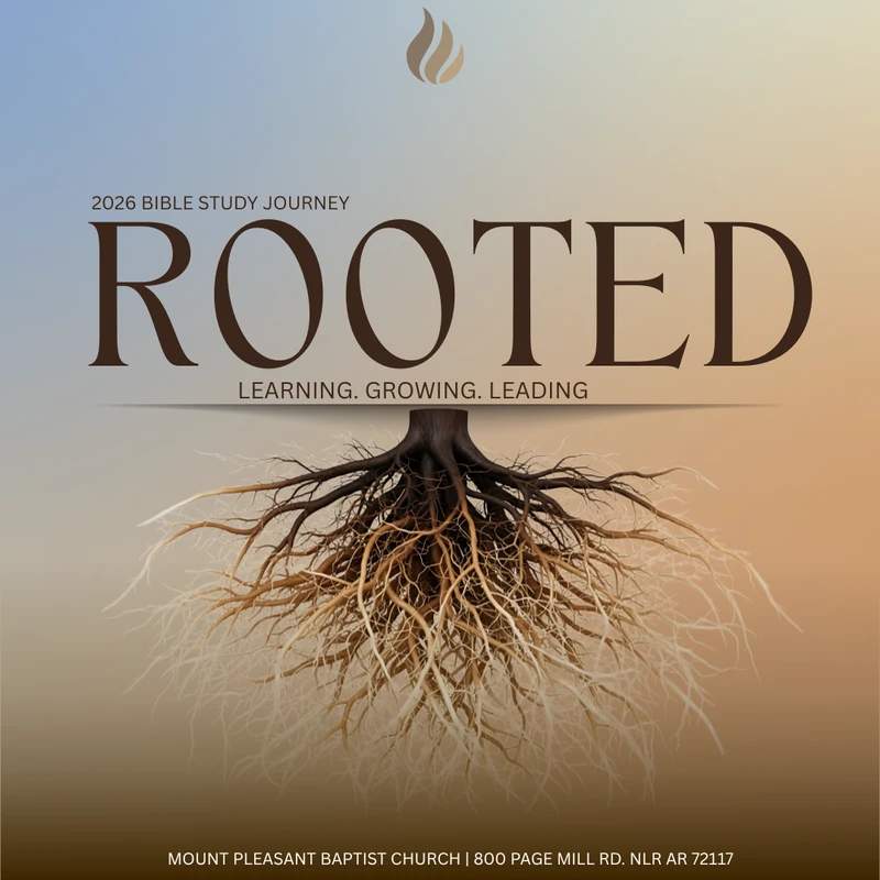  Rooted Bible Study Journey