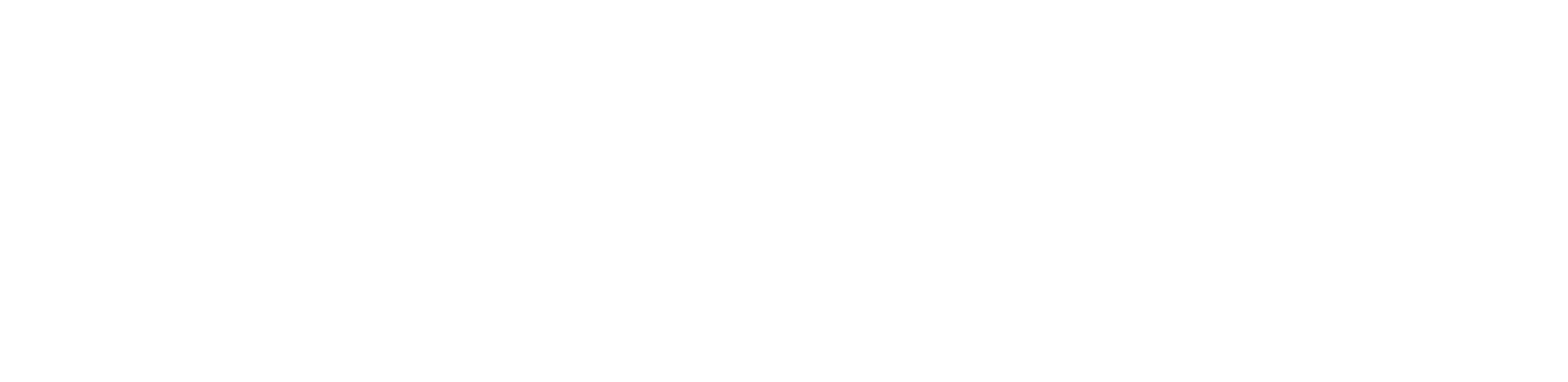 Main Logo