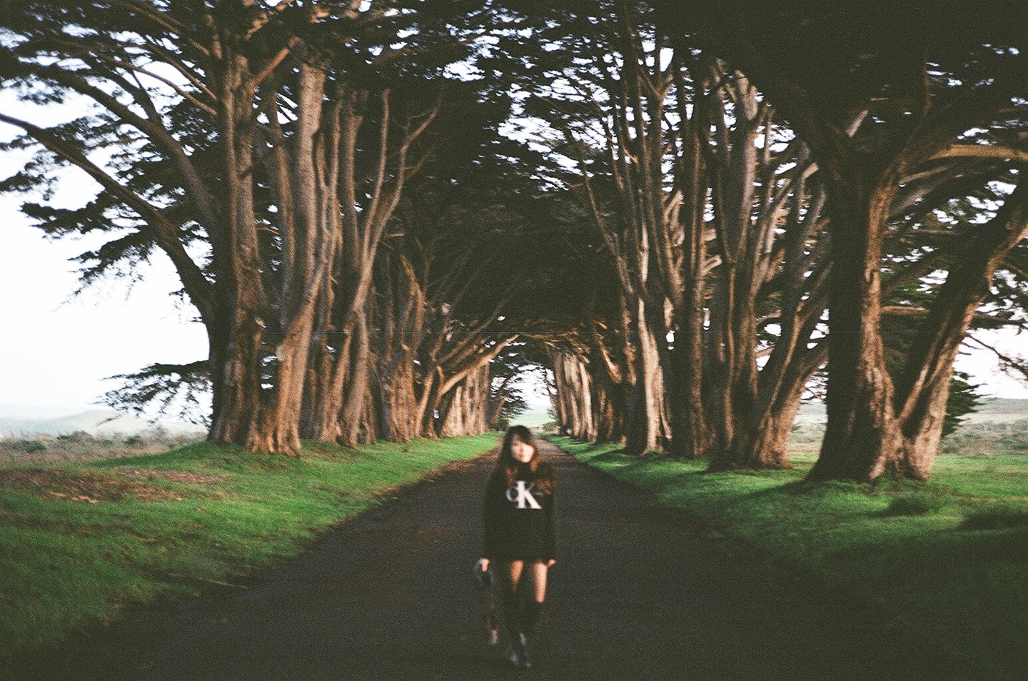 Feb 18, 2017 - Cypress Tree Tunnel: 9