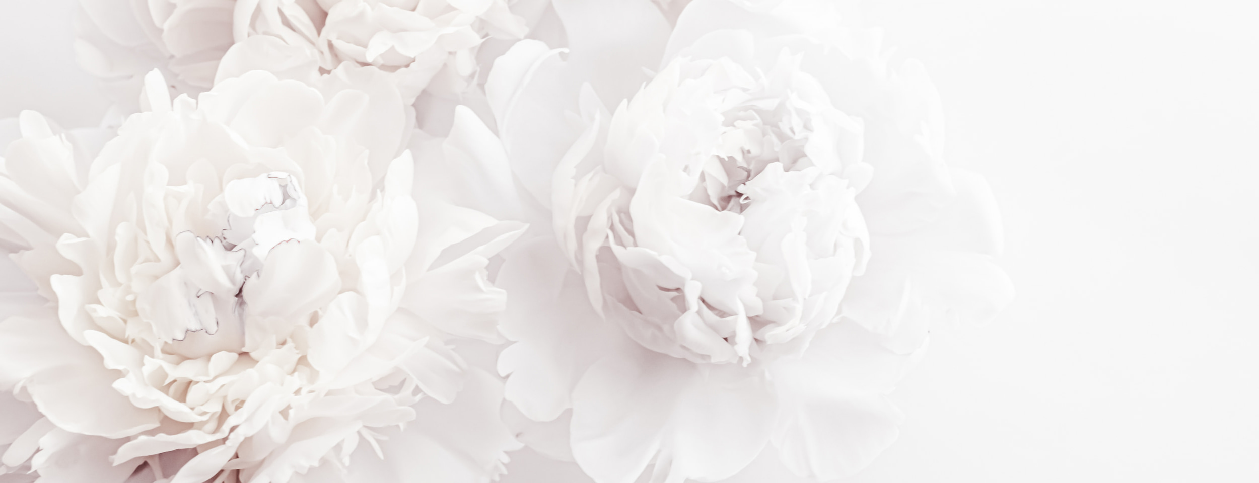 Hair stylist Lauren Prost headshot