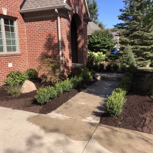 Hardscapes & Outdoor Living Spaces