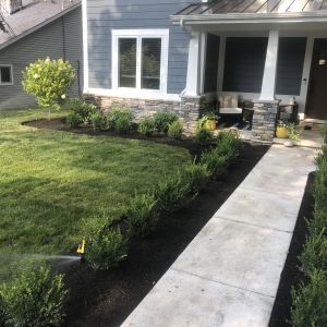 Hardscapes & Outdoor Living Spaces