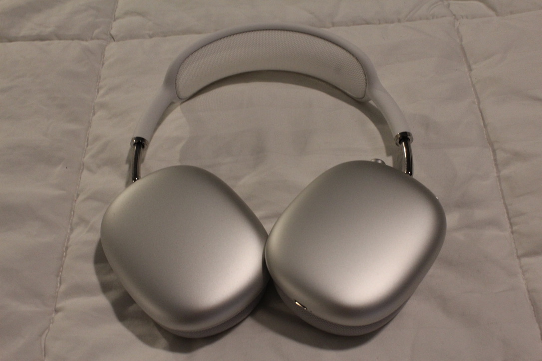 They're just so beautiful, and distinct-looking They’re just so beautiful, and distinct-looking