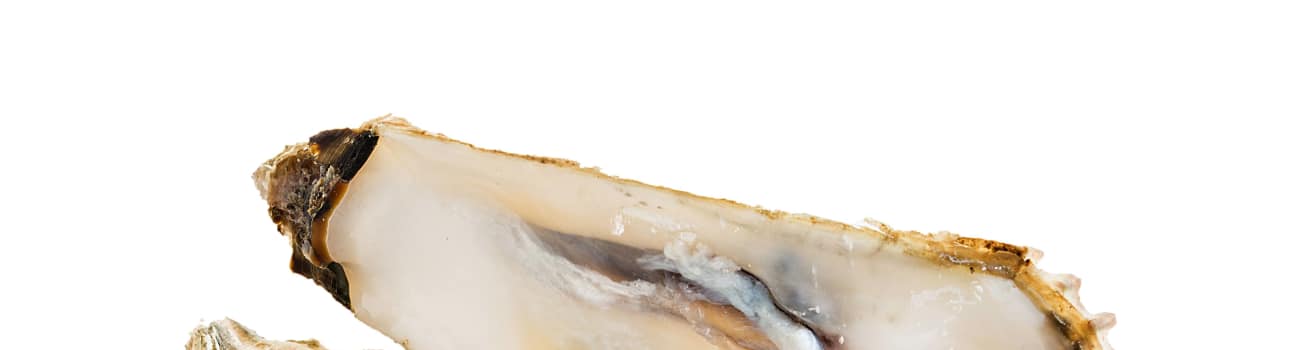 We'll have to start eating seafood more often...maybe we'll find some pearls too!