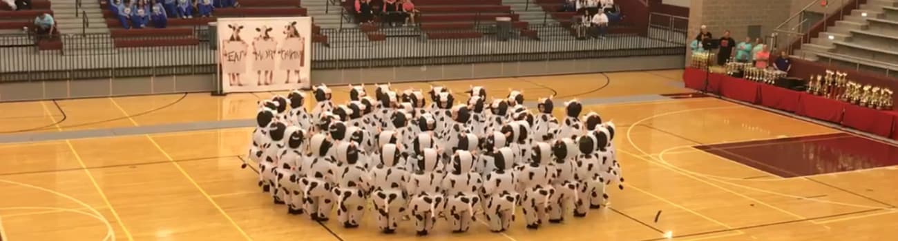 cow dance