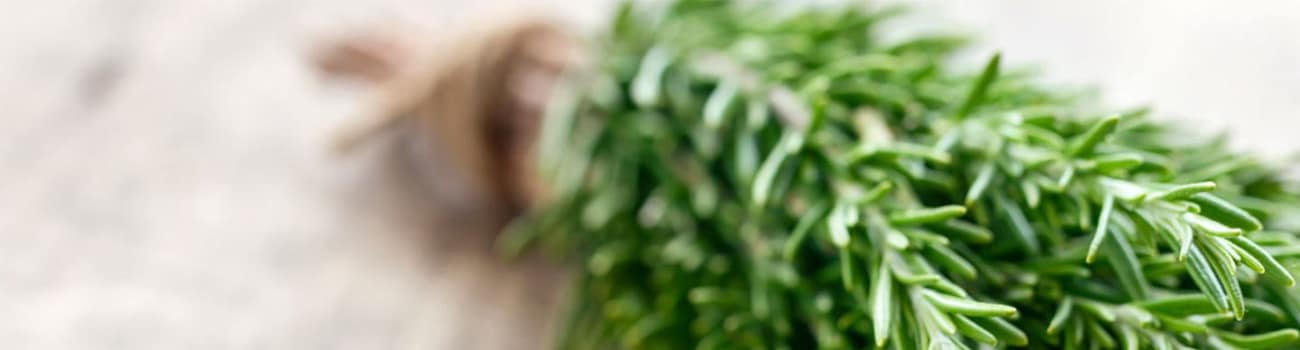 Rosemary