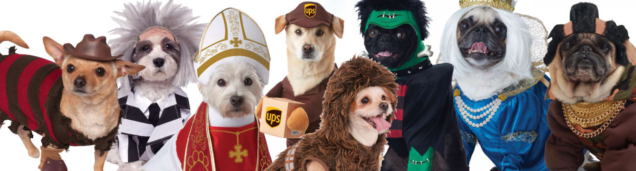 Dog costumes